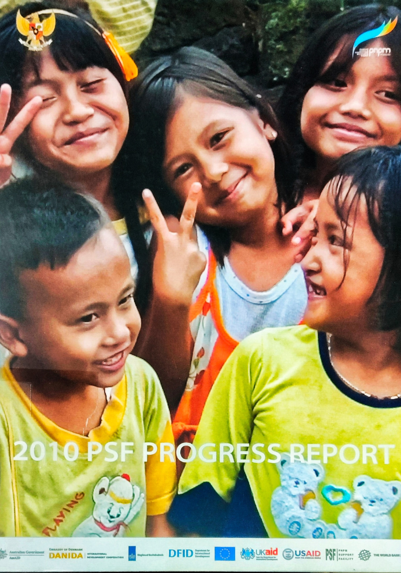 2010 PSF Progress Report