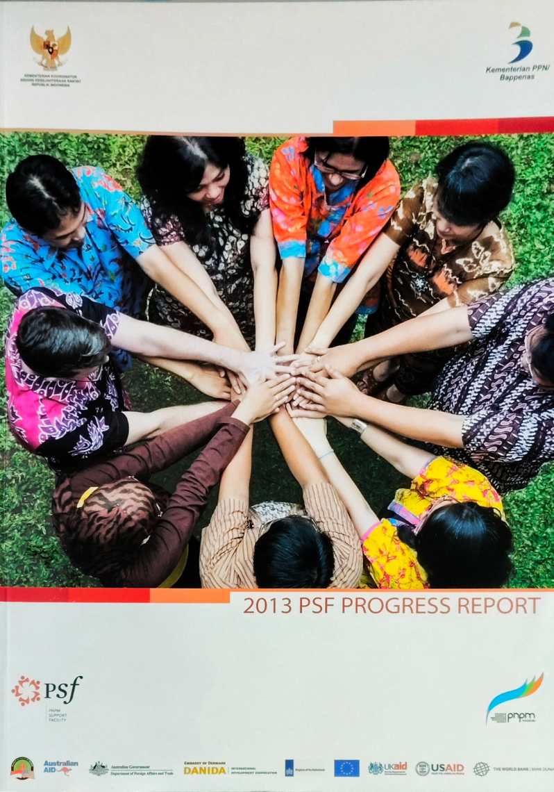 2013 PSF Progress Report