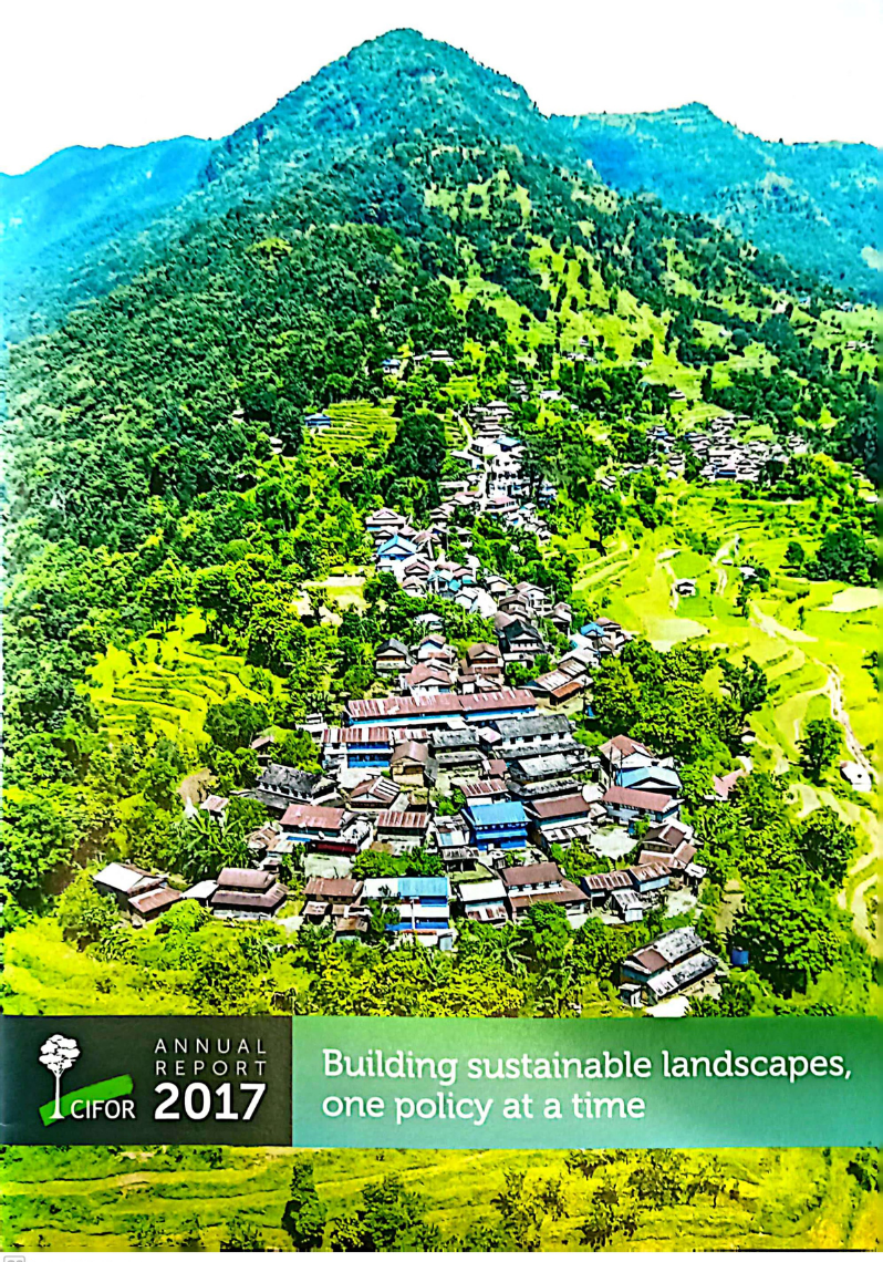 Annual Report 2017: Building sustainable landscapes, one policy at a time