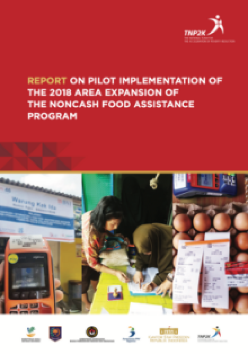 Brief Report on Pilot Implementation of The 2018 Area Expansion of The Noncash Food Assistance Program