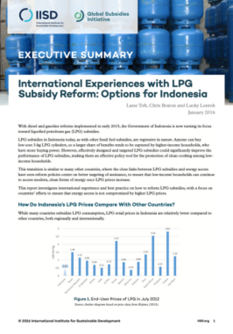 International Experiences with LPG Subsidy Reform: Options for Indonesia