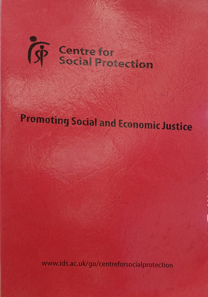 Promoting Social and Economic Justice