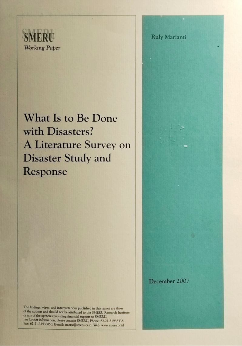 What Is to Be Done with Disaster? A Literature Survey on Disaster Study and Response